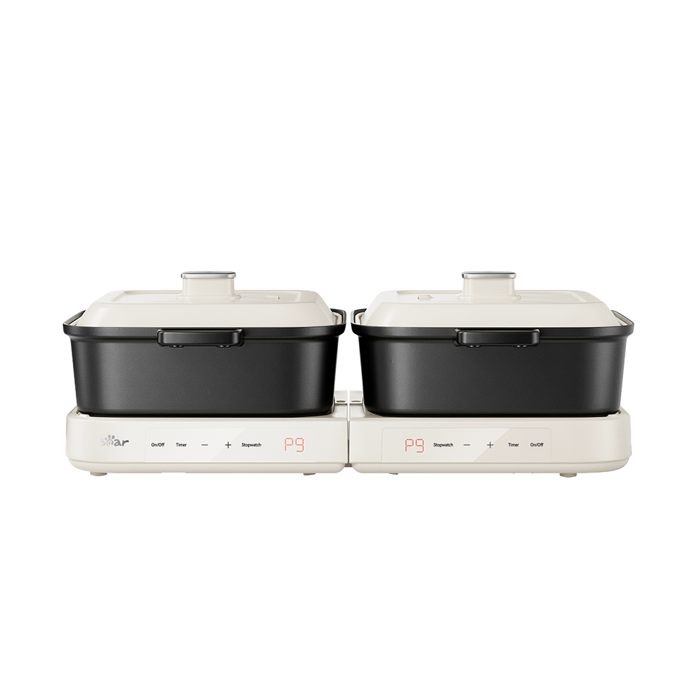 Electric Multi Cooker