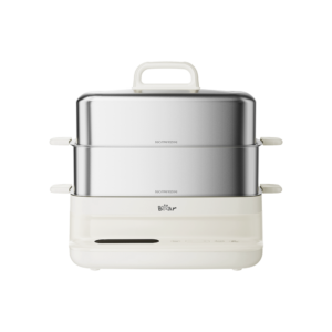 Electric Steamer