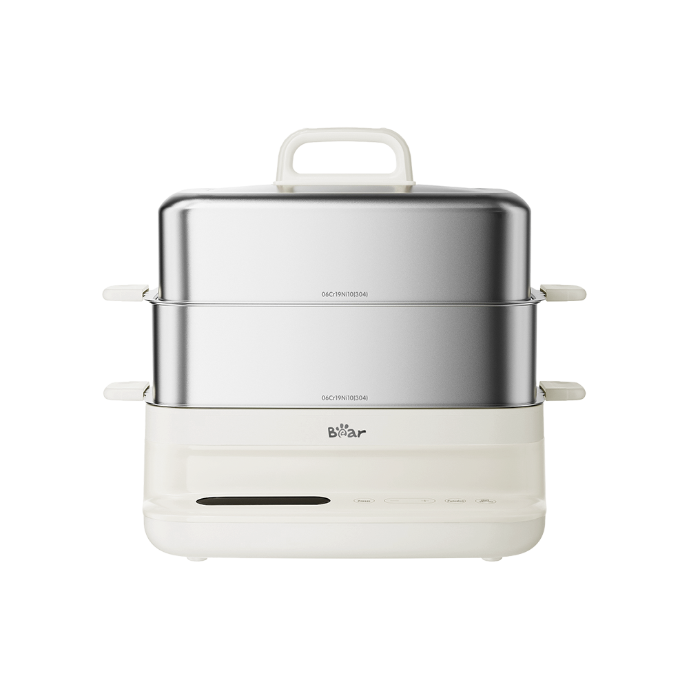 Electric Steamer