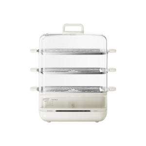 Electric Steamer