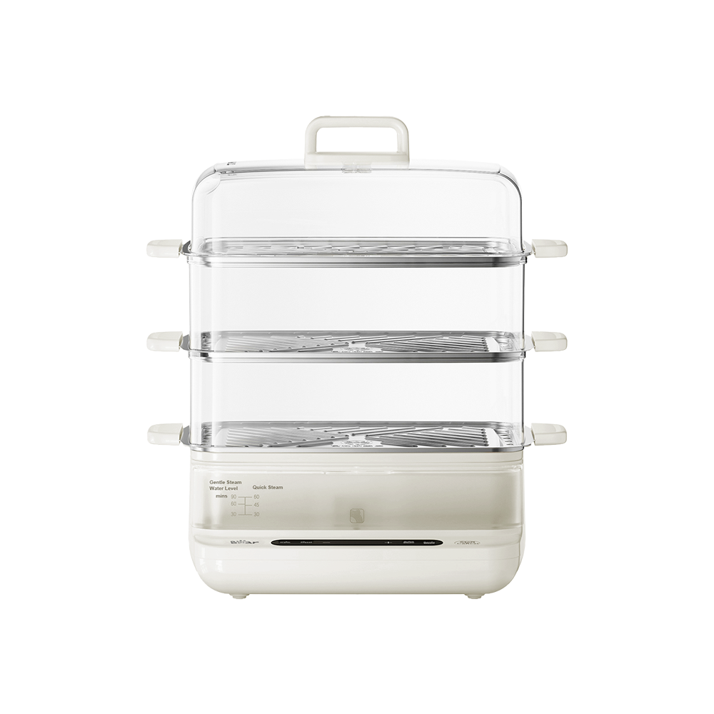 Electric Steamer
