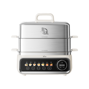 Electric Steamer
