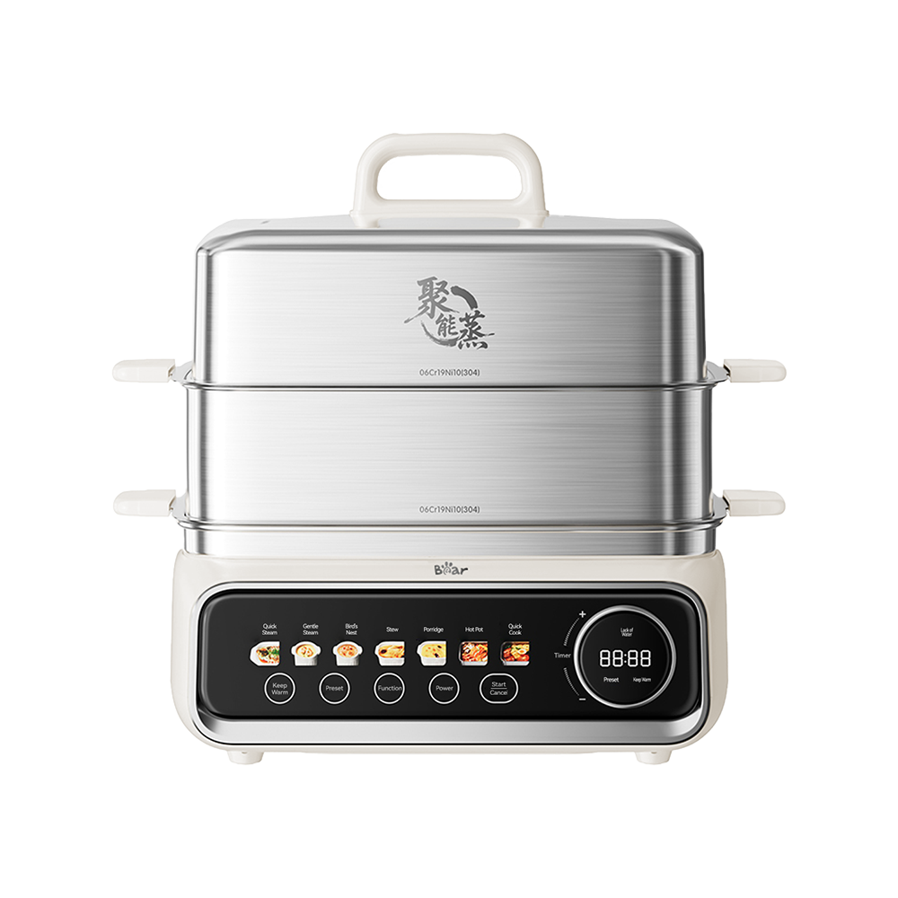 Electric Steamer
