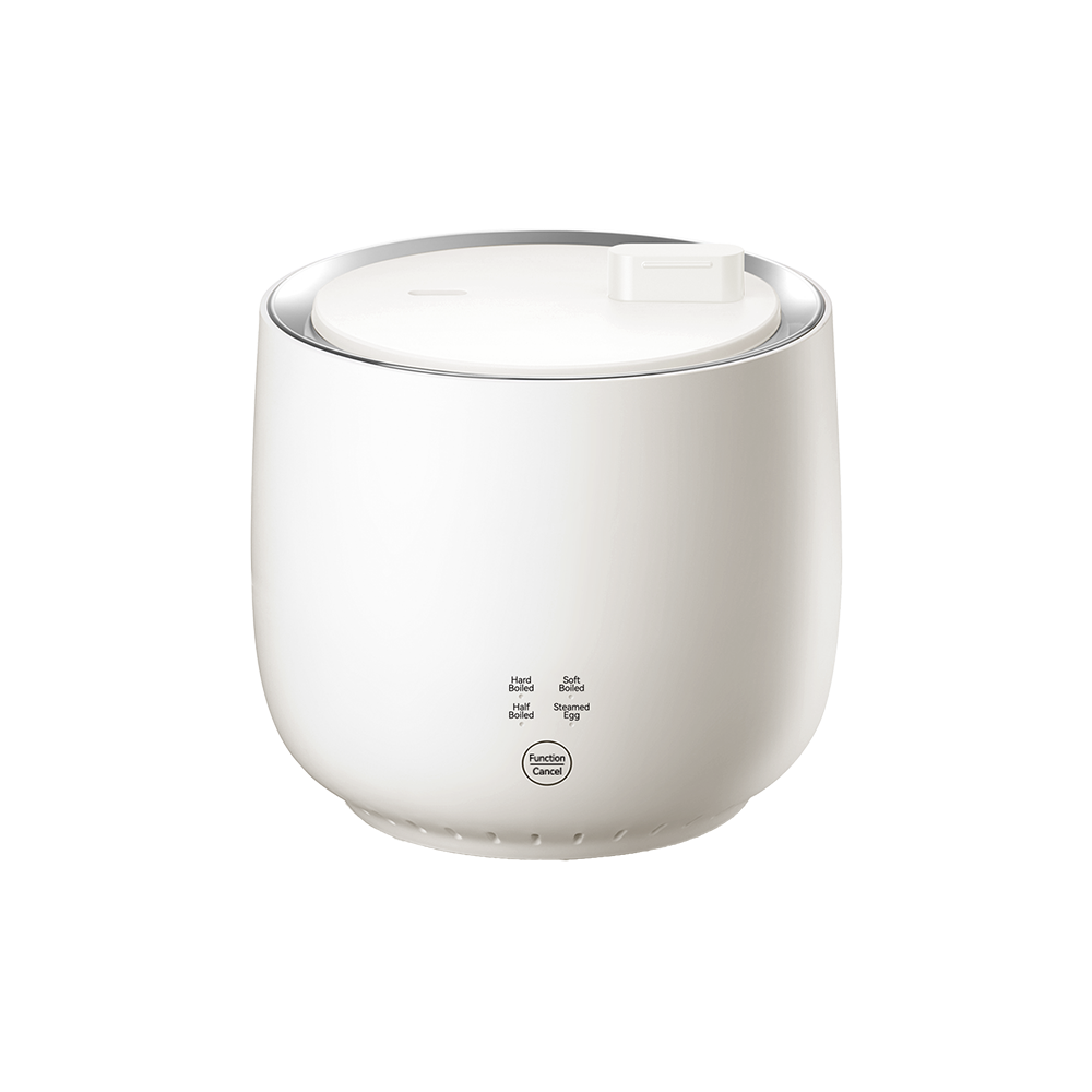 Egg Boiler